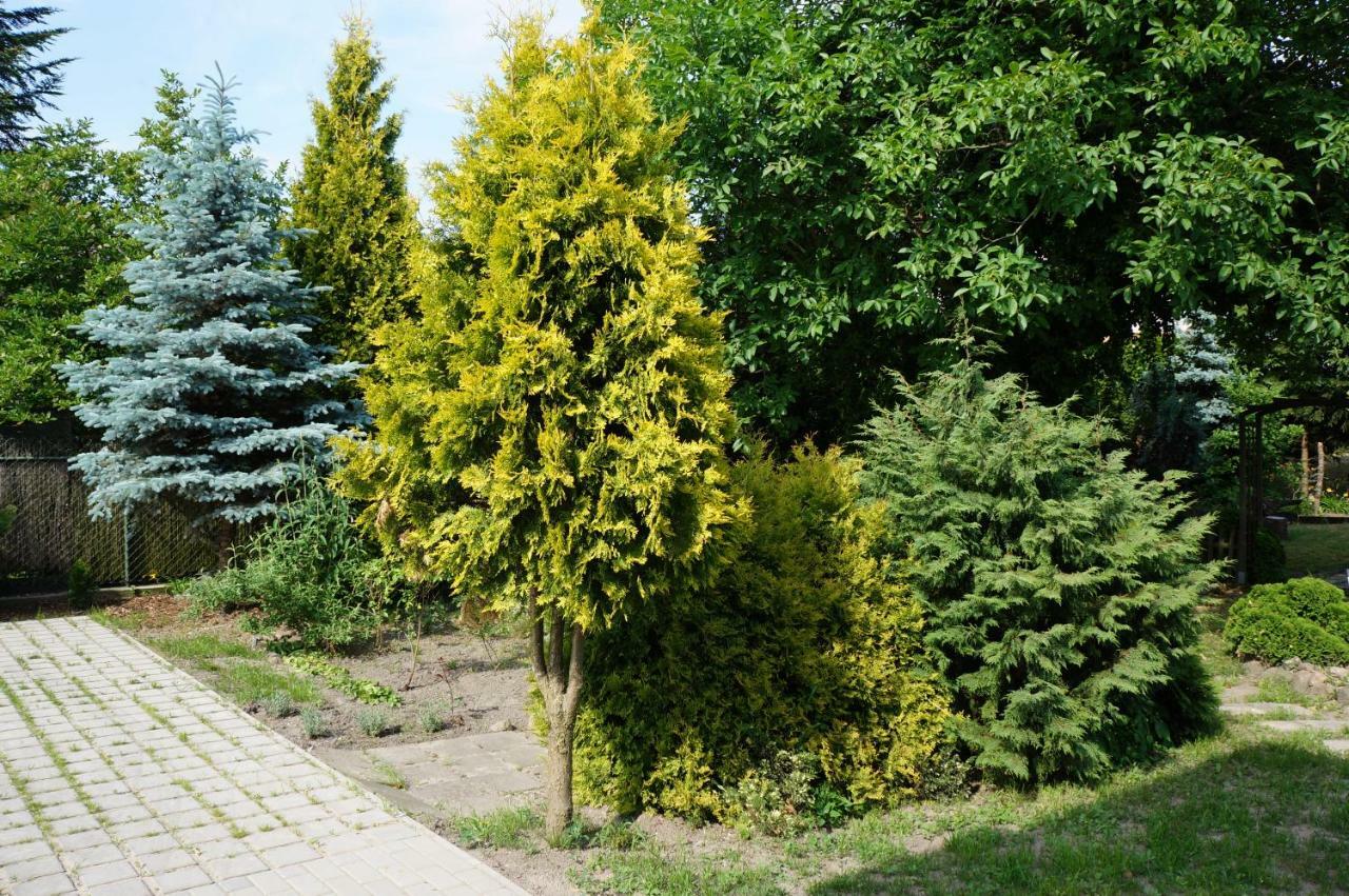 Apartamenty Z Klimatem Poznan Exterior foto